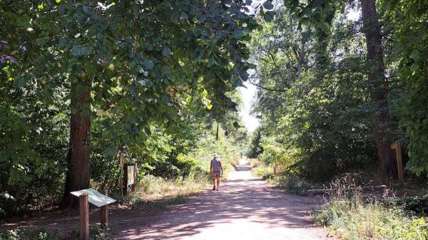 « Il m'a fait penser à Scream » : un mystérieux agresseur à la hachette sévit en forêt de Sénart