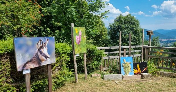 Photos. Remiremont : dans les coulisses de l'installation de l'exposition photographique des Amis de la Nature