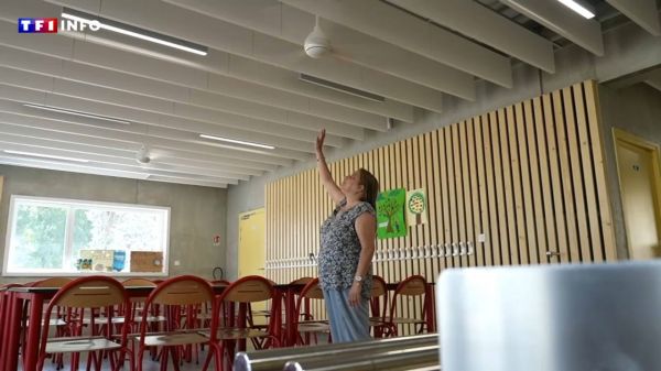 "L'air vient du dessus et fait comme une brise " : que valent les ventilateurs de plafond  ? | TF1 INFO