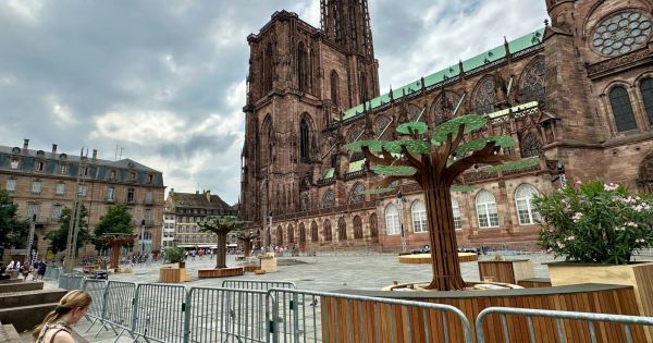 Strasbourg. La (mini-)forêt immersive va s'animer dès samedi, place du Château