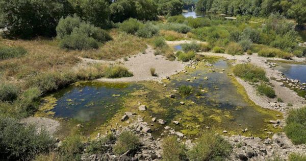 Meurthe-et-Moselle. Le département passe en « Alerte sécheresse » dès lundi