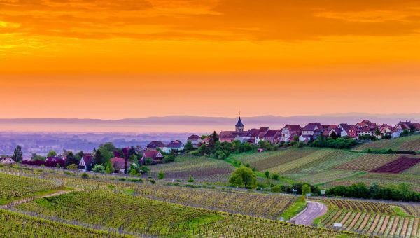 Les idées de sorties de la semaine en Alsace du 07 au 13 juillet 2025