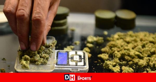 En pleine perquisition chez Mehdi, pour un autre dossier, les policiers sentent une forte odeur de cannabis