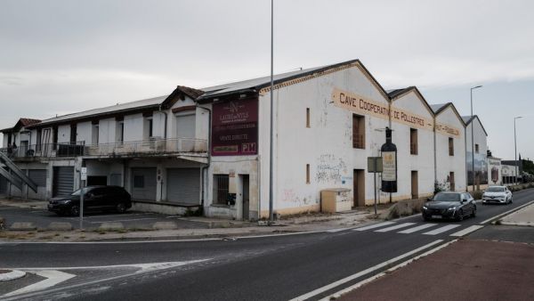 "Pour être plus nombreux et donc plus compétitifs" : près de 200 vignerons des Pyrénées-Orientales réunis après la fusion de deux coopératives viticoles