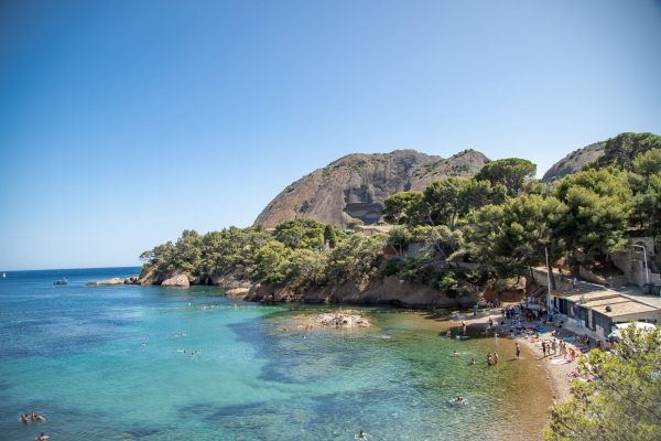 Vidéo | Des enfants créent une réserve marine pour protéger la biodiversité dans les calanques