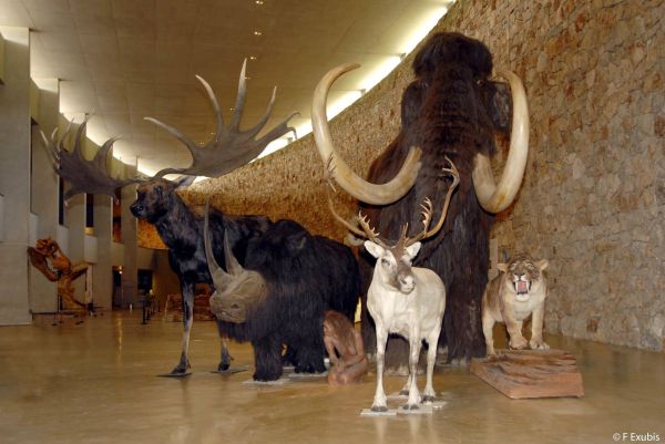 Une grande journée d'animations sur la Préhistoire au musée de Quinson