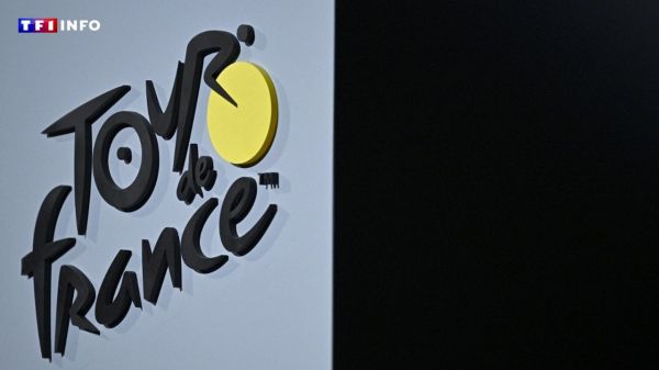 Tour de France 2025 : maillot jaune, victoire d'étape... combien vont gagner les coureurs ? | TF1 INFO