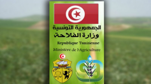 وزارة الفلاحة تدعو شركات تجميع الحبوب إلى أخذ الاحتياطات اللازمة