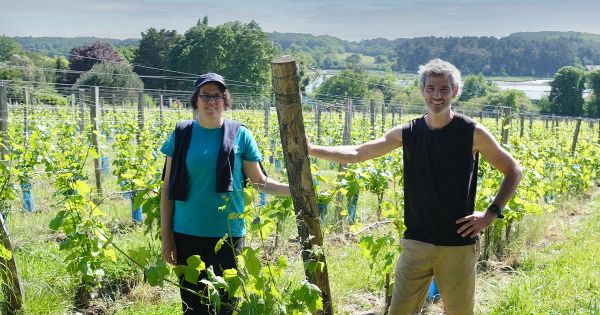 Kerplouz, à Auray : le lycée breton qui pense "viti”