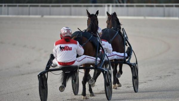 Quinté à Enghien du samedi 5 juillet : les pronostics hippiques d'Hervé Fortin