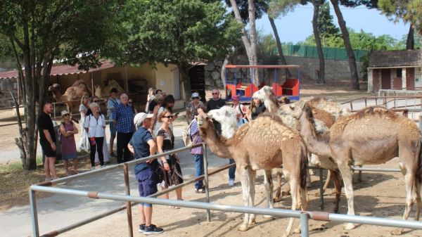 Le camping Marina plage de Vitrolles fête un demi-siècle d'histoire au bord de l'étang de Berre