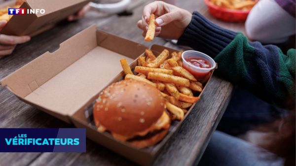 Ces rumeurs qui ont la vie dure : "Des pastilles anti-vomitives dans les burgers" | TF1 INFO