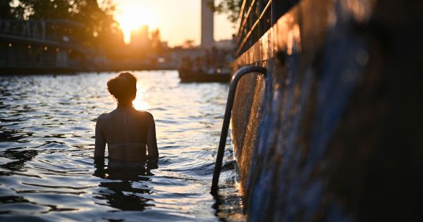 La baignade urbaine, une habitude très suisse : «Un endroit pareil en plein Zurich, c'est le paradis»