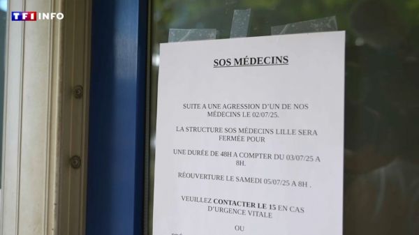 "On ne peut pas laisser passer" : après une expédition punitive contre un médecin à Lille, ses collègues en grève | TF1 INFO