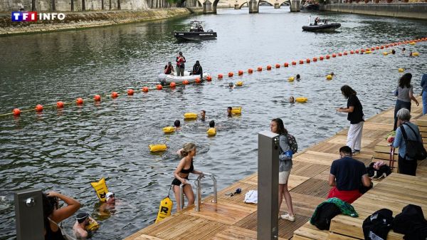 "L'impression d'être dans un lac, il n'y a pas d'odeur" : l'avis d'un des premiers baigneurs dans la Seine | TF1 INFO