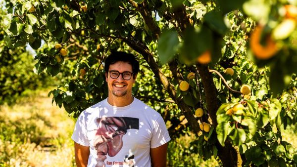 "Le label nous a permis de convaincre nos clients" : de l'AOP Abricots Rouges du Roussillon à l'IGP Haricot de Castelnaudary, le boost des appellations