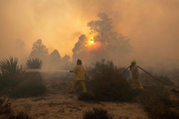 Californie : un incendie de forêt ravage plus de 28 300 hectares, l'été s'annonce à haut risque