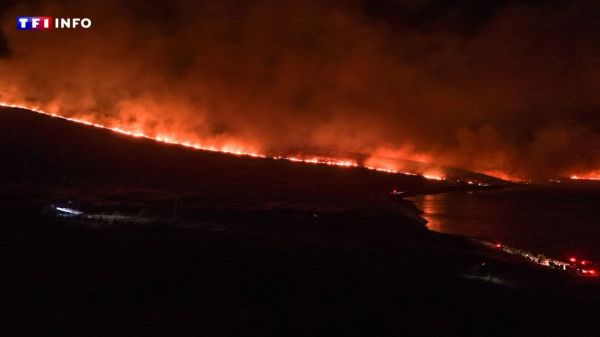 Sécheresse et canicule : l'Europe frappée par des incendies meurtriers | TF1 INFO