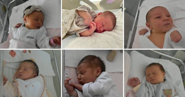 En images. Alba, Valentin, Ambroise... Bienvenue aux bébés nés dernièrement en Côte-d'Or