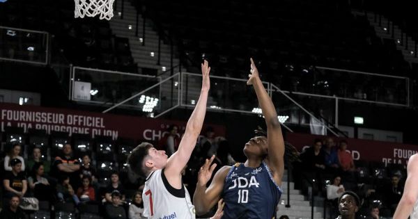 Basket. JDA Dijon : deux recrues chez les Espoirs, Muamba reste au club