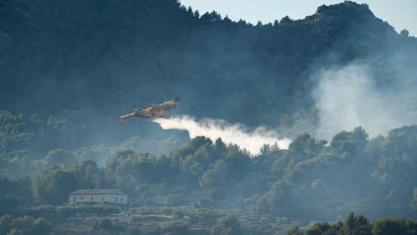 100 hectares partis en fumée, des centaines de pompiers mobilisés... premier "incendie d'ampleur" dans les Bouches-du-Rhône
