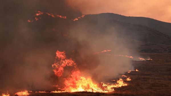 Californie : le plus grand incendie de forêt de l'année s'étend sur plus de 28 300 ha