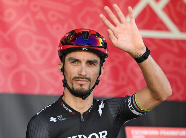"Il pensait qu'il allait mourir" : le retour de Julian Alaphilippe sur le Tour de France, un miracle