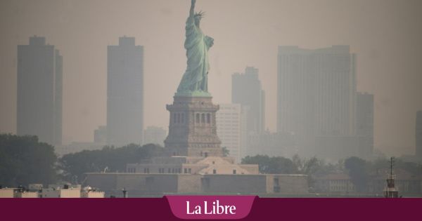 Cette fresque de la Statue de la Liberté fait réagir jusqu'aux États-Unis