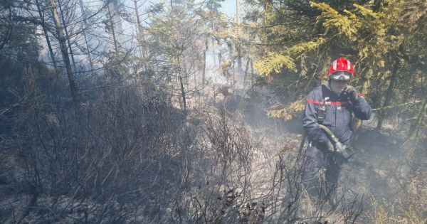Wangenbourg-Engenthal. Un important feu de forêt en cours sur les hauteurs de la commune, de gros moyens mobilisés