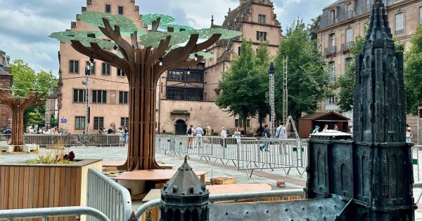 Strasbourg. Le débrief de la semaine : Barseghian repart, la forêt s'anime, l'Arche à flots