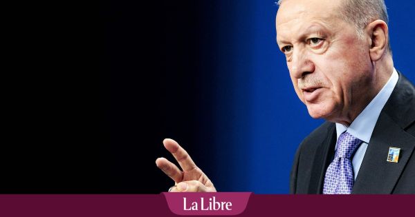 Tirs dans des centres d'aide à Gaza: Erdogan a demandé à Trump d'intervenir