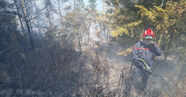 Bas-Rhin. Un important feu de forêt en cours, 67 sapeurs-pompiers mobilisés