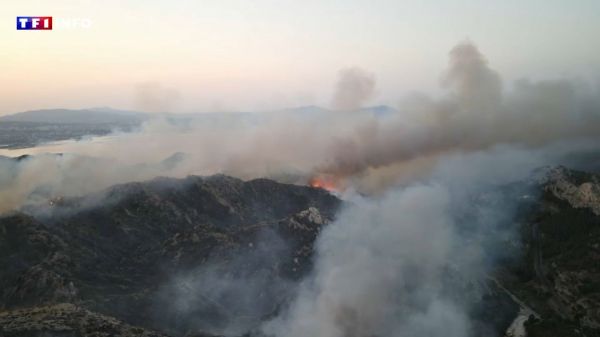 "Les flammes faisaient 10 mètres" : près de Marseille, des habitants surpris en pleine nuit par un important incendie | TF1 INFO