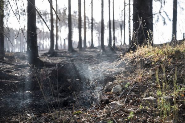 Risques d'incendies : pourquoi les fortes chaleurs augmentent-elles le danger ?
