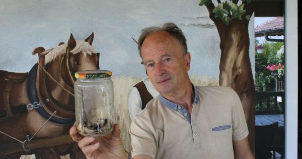 Ligsdorf. Frelon asiatique : un apiculteur capture un nid sous le toit d'une habitation