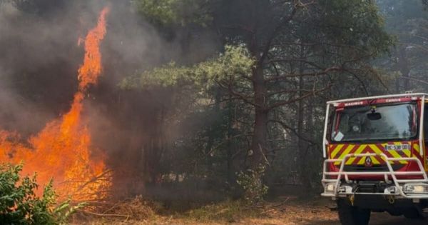 Haguenau. Un incendie détruit 1,1 hectare de forêt près du quartier Saint-Joseph