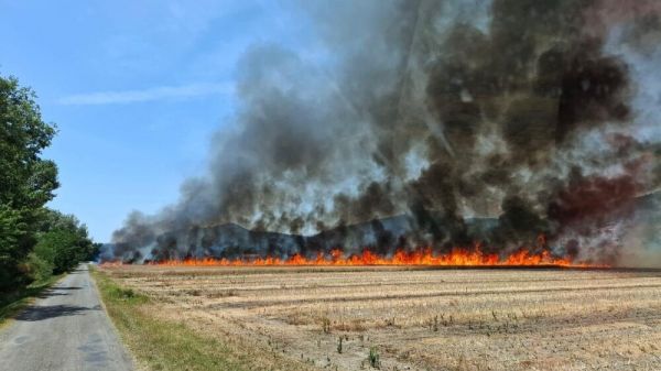 Un feu de chaume brûle environ 4,5 hectares à Peyruis, un hangar protégé des flammes