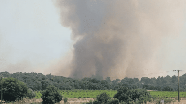 L'autoroute A9 coupée dans les deux sens entre Sète et Lunel, dans l'Hérault, en raison d'un important incendie