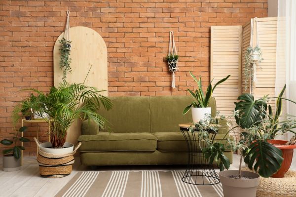 L'astuce géniale (et oubliée) pour arroser vos plantes pendant les vacances sans dépenser un centime