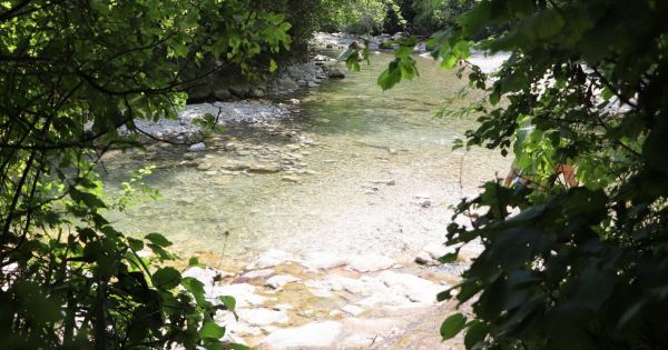 Savoie. Risque de leptospirose dans plusieurs lieux de baignade : « Pas question d'interdire de se baigner, mais il faut faire attention »