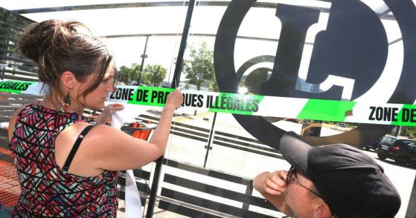 Vosges. Saint-Dié : nouvelle action de L214 contre des pratiques d'élevage de cochons