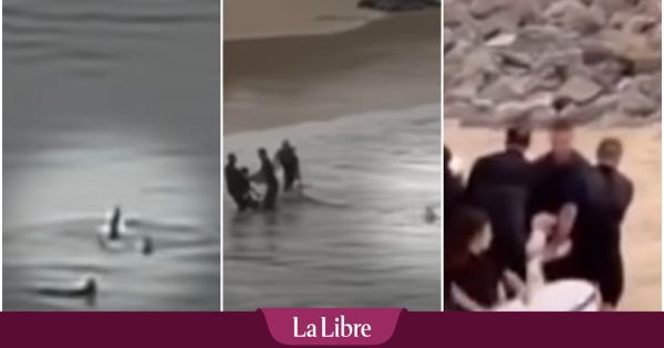 Un adolescent de 16 ans se fait violemment attaquer par un requin lors de ses vacances (VIDEO)