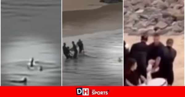 En vacances, un adolescent de 16 ans se fait violemment attaquer par un requin (VIDEO)