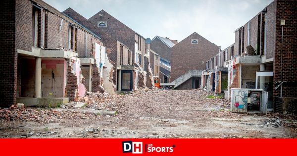 Le projet de 36 logements résilients de Logivesdre dans la vallée de la Vesdre : "Ce sont 258 logements qui ont été touchés par les inondations”