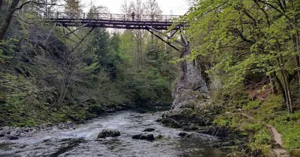Vosges. Thiéfosse : l'accès aux gorges de Crosery interdit face au risque d'effondrement de la passerelle et à des chutes d'arbres