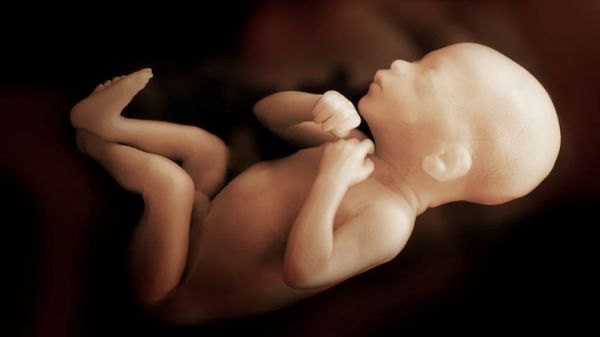 Échographie de grossesse : ce que cache vraiment la jolie image