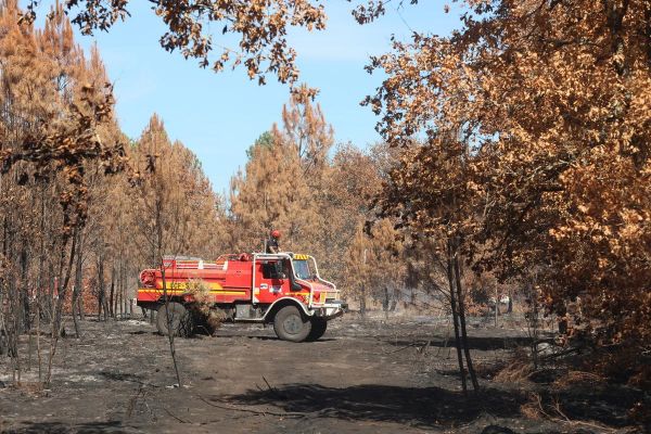 Incendie dans le Cher : plus de 100 hectares ravagés par les flammes