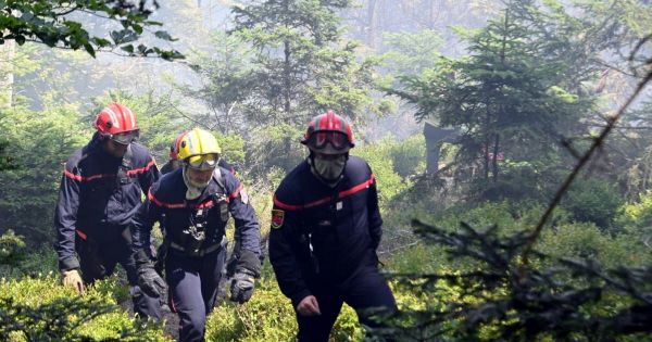Bas-Rhin. La sécheresse attise les flammes : plusieurs feux combattus par les pompiers dans le département