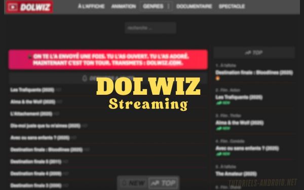 (07/2025) Dolwiz change à nouveau de nom ce mois-ci