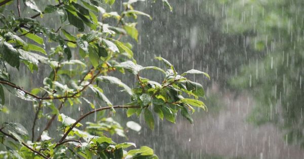 Pluies persistantes attendues ce dimanche 6 juillet : le point météo pour la journée d'Achoura